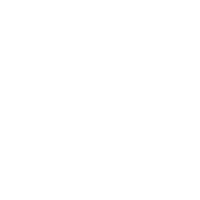 IDP